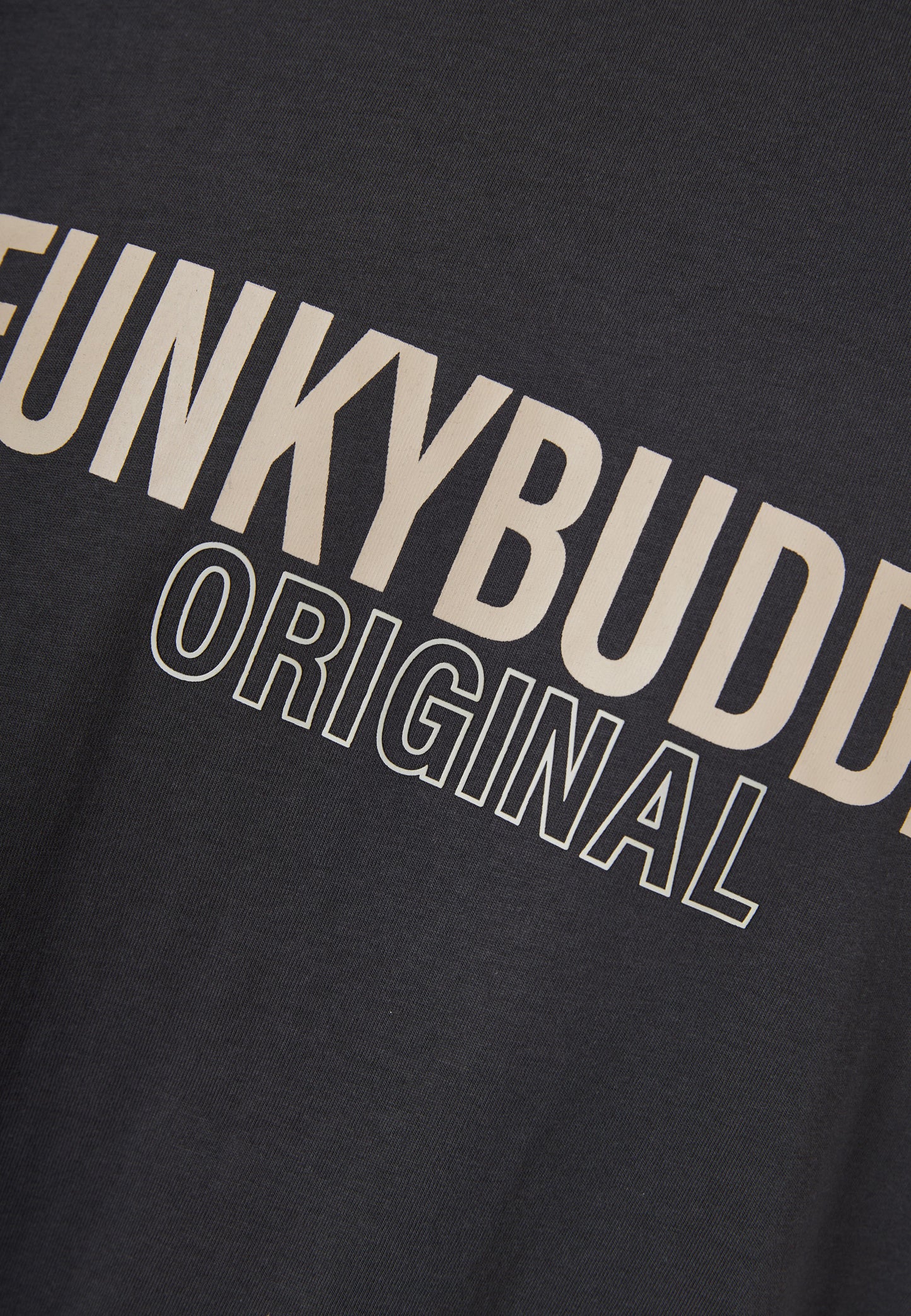 Ανδρικό T-Shirt Relax Fit Funky Buddha Ανθρακί