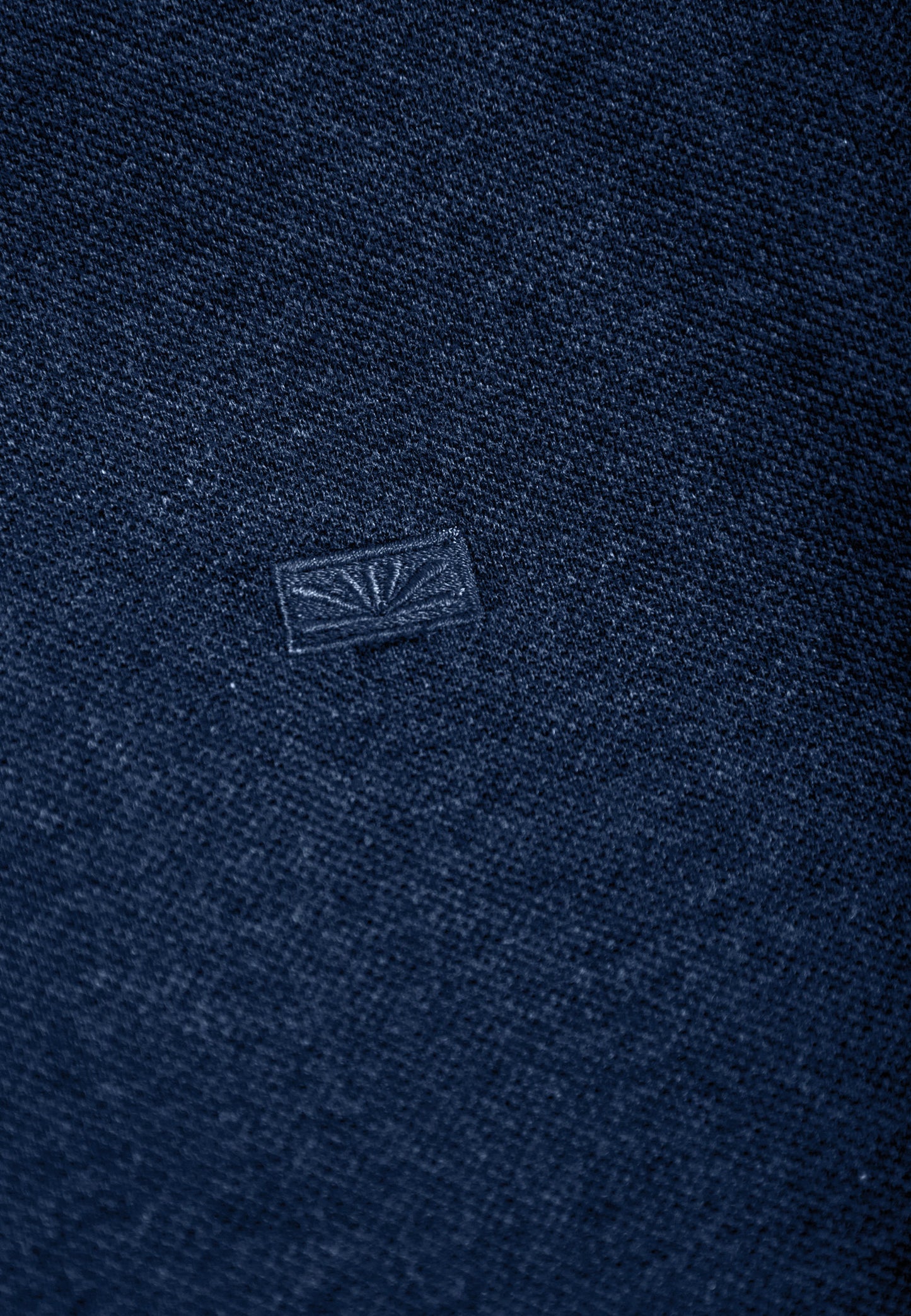Ανδρικό Polo T-shirt Funky Buddha Navy