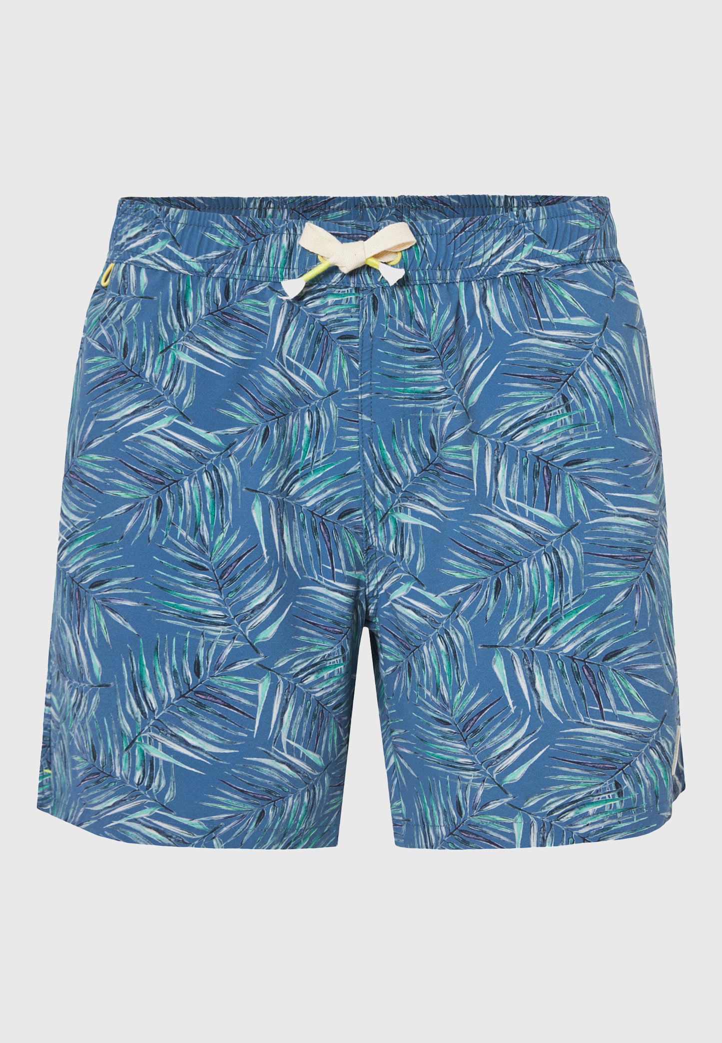 Ανδρικό Μαγιό Tropical Print Funky Buddha Μπλε