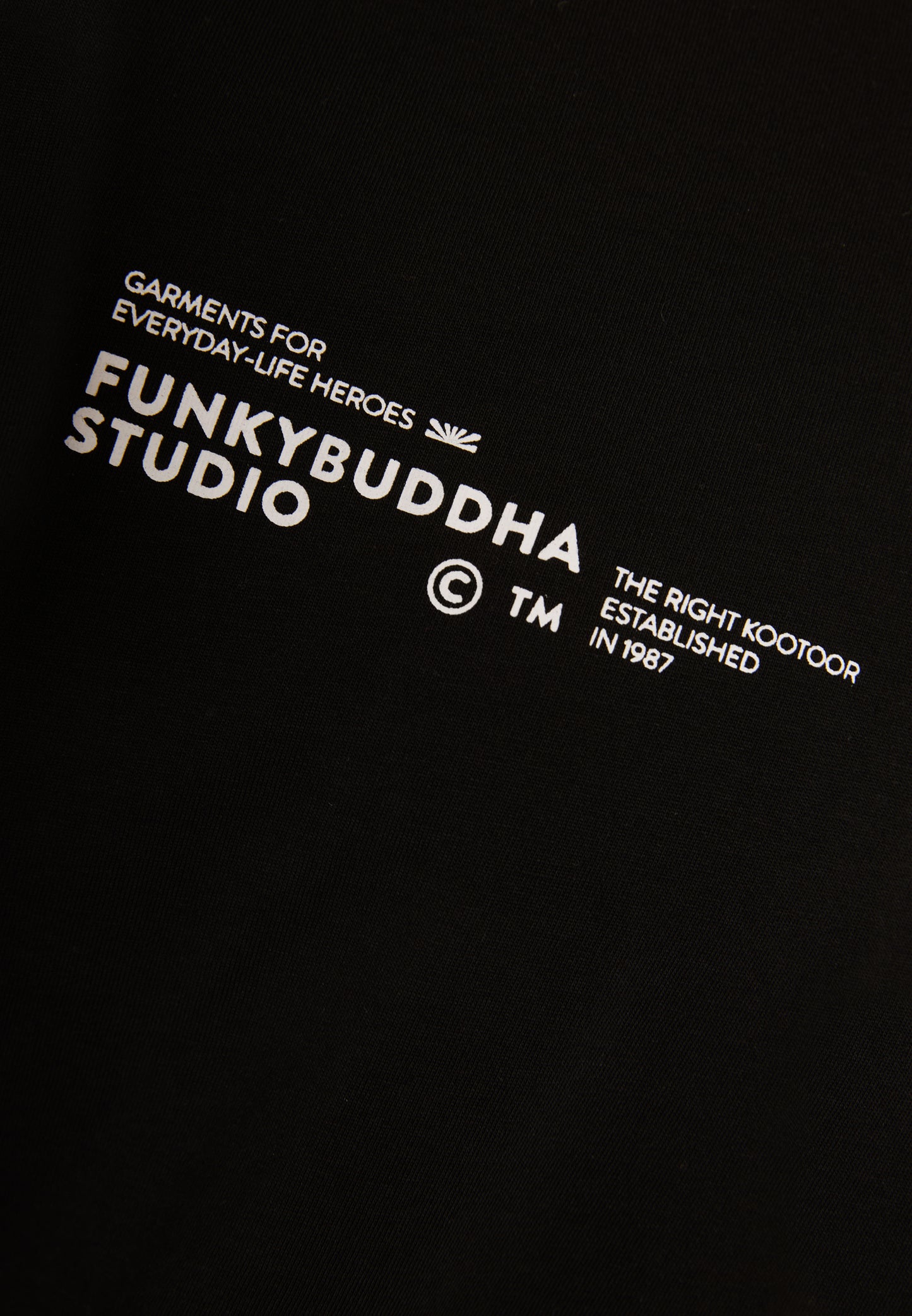 Ανδρικό T-shirt Logo Print Funky Buddha Μαύρο