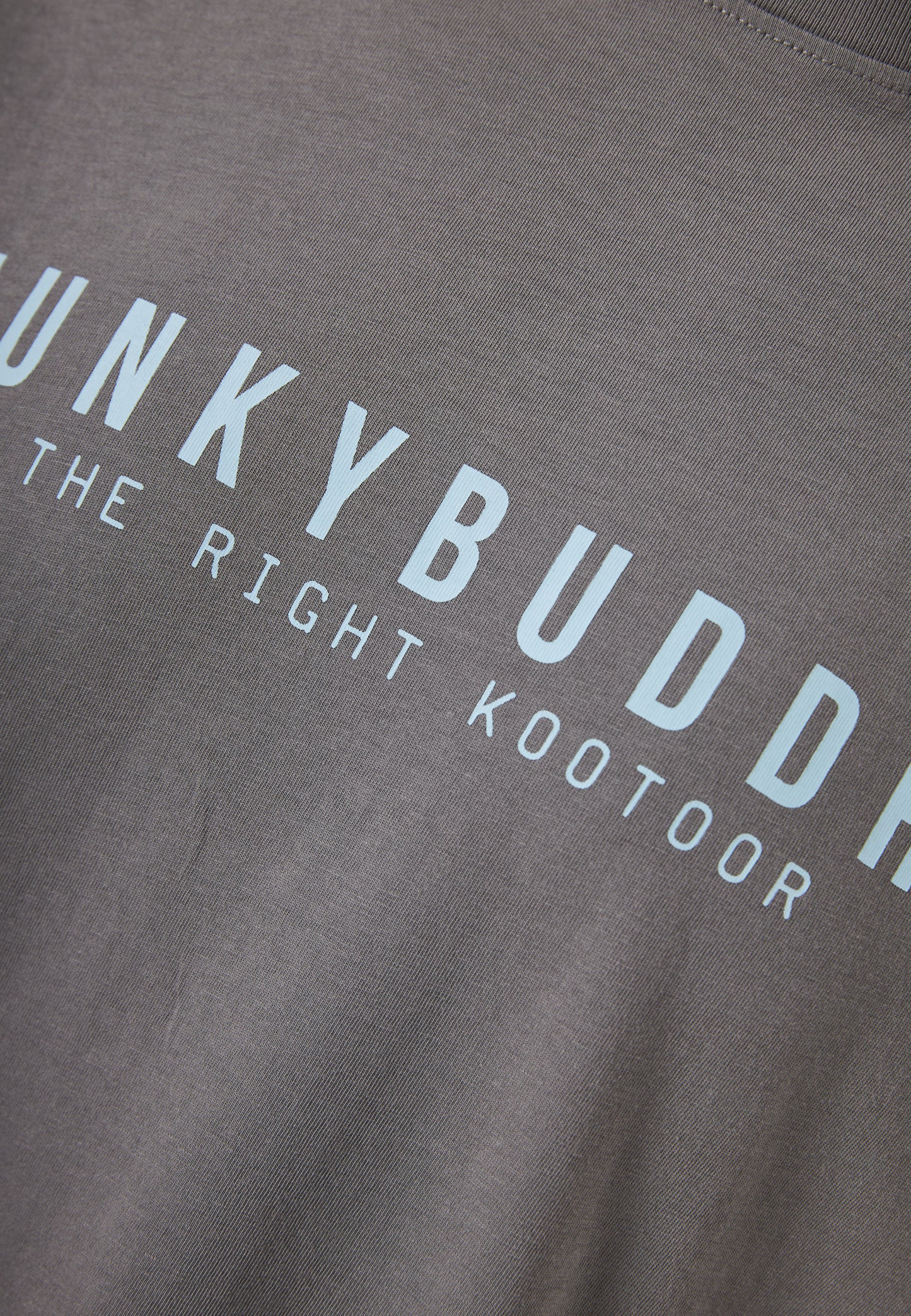 Ανδρικό Μαύρο T-Shirt Funky Buddha Essential Γκρί